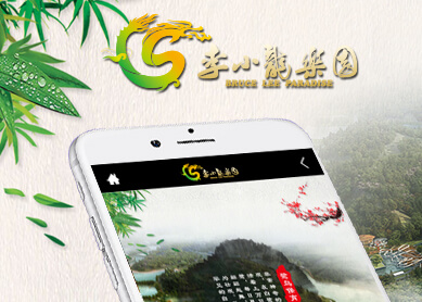 app软件制作